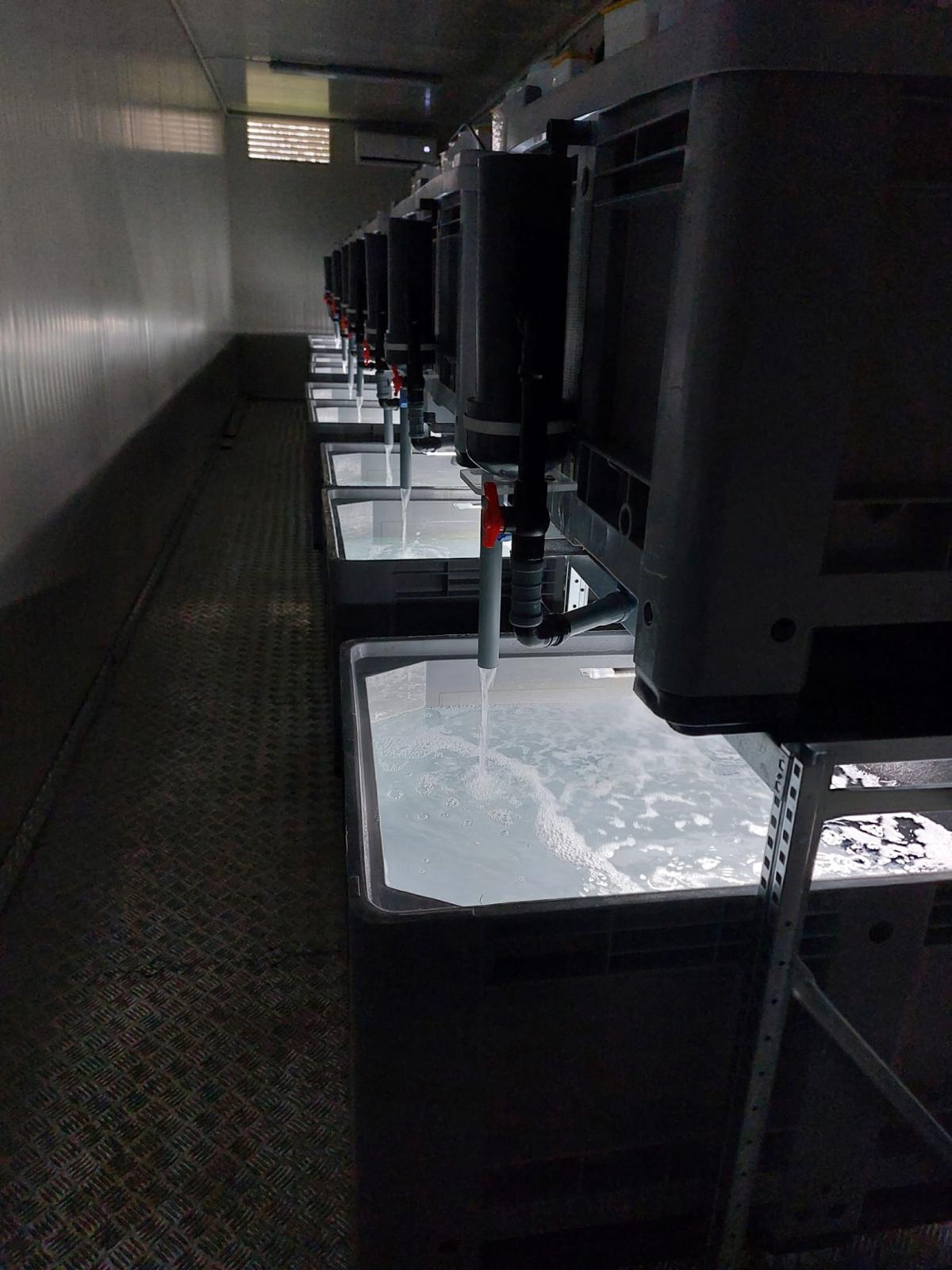 Innovazione per Start-up e Progetti Didattici