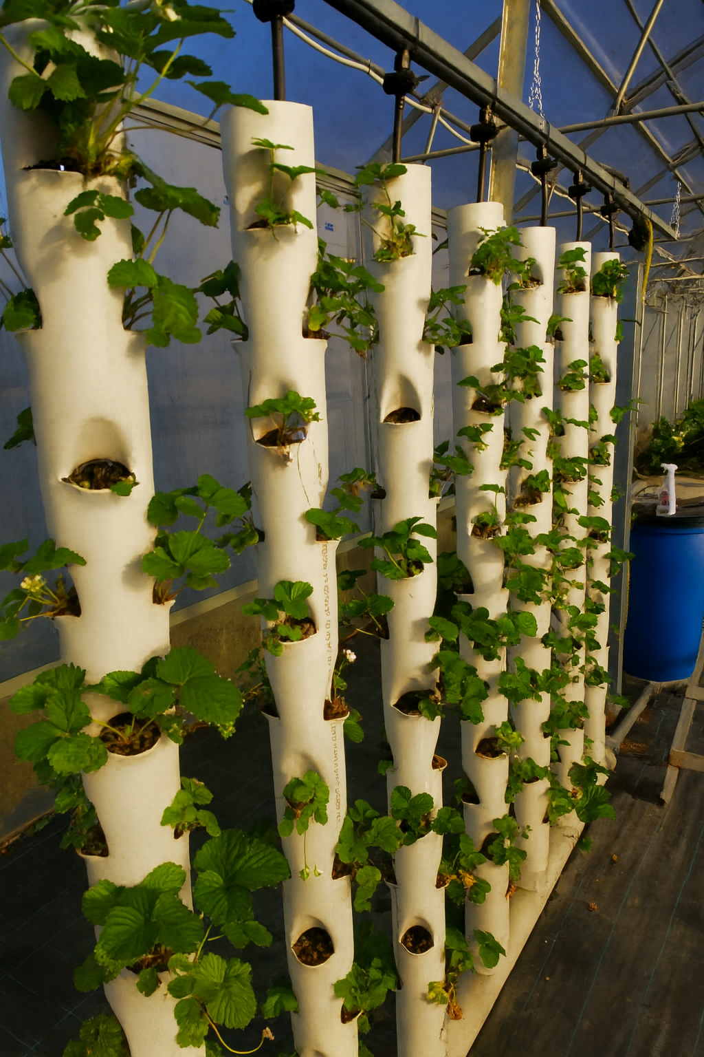 Esperienza Didattica e Sostenibile