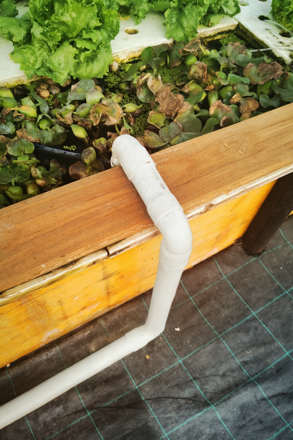 Personalizzazione e Automazione Intelligente